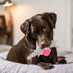 DTOPBUYAGE - Dtopbuyage jouet pour chien - en peluche, interactif