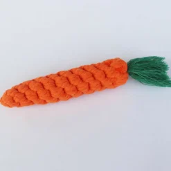 DTOPBUYAGE - Dtopbuyage jouet de carotte tressée pour chienslot de 2