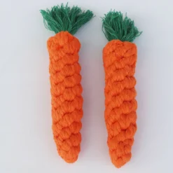 DTOPBUYAGE - Dtopbuyage jouet de carotte tressée pour chienslot de 2