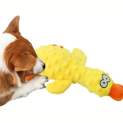 DTOPBUYAGE - Dtopbuyage jouet apaisant pour chien - en peluche
