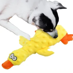 DTOPBUYAGE - Dtopbuyage jouet apaisant pour chien - en peluche