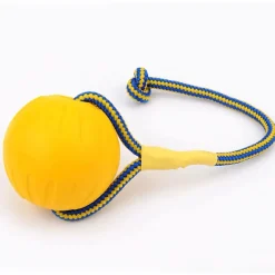 DTOPBUYAGE - Dtopbuyage jouet en eva pour chiens