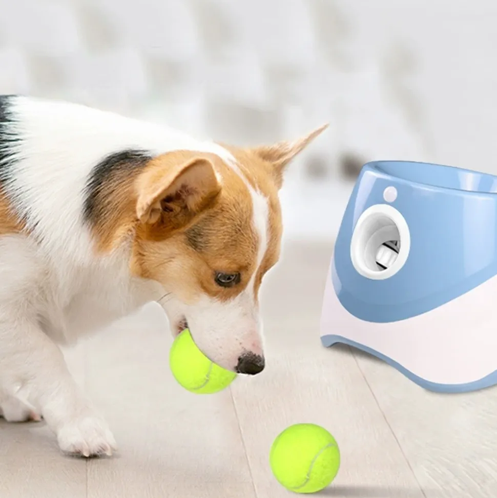 DTOPBUYAGE - Dtopbuyage lanceur de balle automatique pour chiens