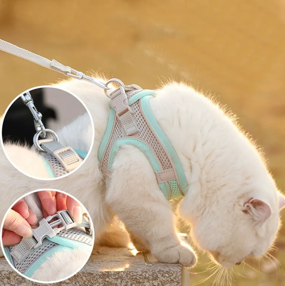 DTOPBUYAGE - Dtopbuyage laisse pour chaton type de sangle