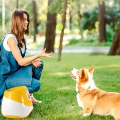 DTOPBUYAGE - Dtopbuyage lanceur de balle automatique pour chiens