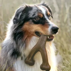 DTOPBUYAGE - Dtopbuyage wishbone pour chiens