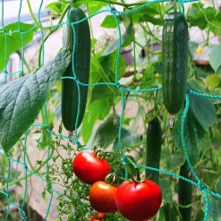 DTOPBUYAGE - Filet de jardin pour plantes grimpantes 0,9*1,8 m dtopbuyage