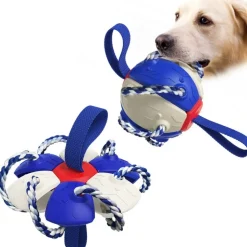 DTOPBUYAGE - Frisbee pour chien dtopbuyage, jouets de football
