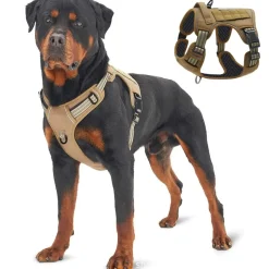 DTOPBUYAGE - Harnais pour chien dtopbuyage