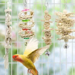 DTOPBUYAGE - Jeu de 7 jouets swing perroquet jaquette