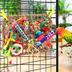 DTOPBUYAGE - Jeux pour oiseaux - matériel de forage, chewing, escalade