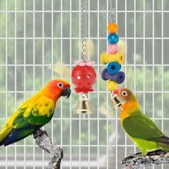 DTOPBUYAGE - Jeux pour oiseaux - avec fonctions de balance, hamac, escalade et chewing