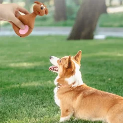 DTOPBUYAGE - Jouet couineur pour chien 4 pièces dtopbuyage