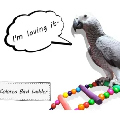 DTOPBUYAGE - Jouet d'échelle coloré en bois pour perroquets