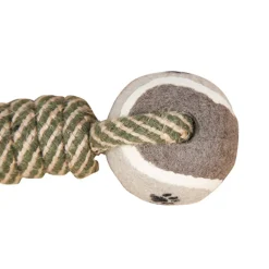 DTOPBUYAGE - Jouet de nettoyage des dents tressé dtopbuyage - chats et chiens