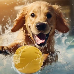 DTOPBUYAGE - Jouet interactif pour chien dtopbuyage eva