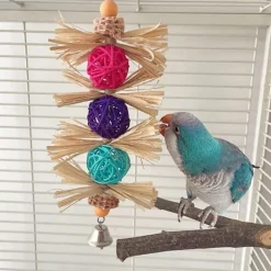 DTOPBUYAGE - Jouet mâcher oiseaux rotin coloré pour meulage dents