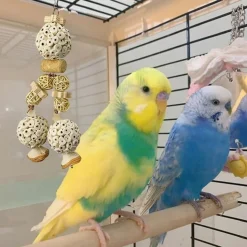 DTOPBUYAGE - Jouet naturel suspension perroquet