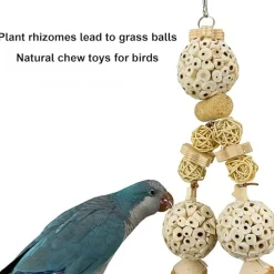 DTOPBUYAGE - Jouet naturel suspension perroquet