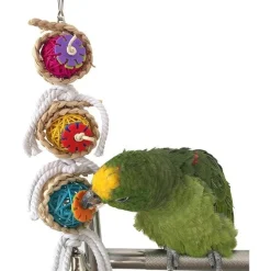 DTOPBUYAGE - Jouet pour cage d'oiseaux