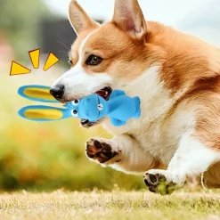 DTOPBUYAGE - Jouets couineurs pour chien dtopbuyage