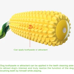 DTOPBUYAGE - Jouets de mâche pour chien en forme de maïs