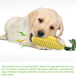 DTOPBUYAGE - Jouets de mâche pour chien en forme de maïs