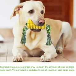 DTOPBUYAGE - Jouets de mâche pour chien en forme de maïs