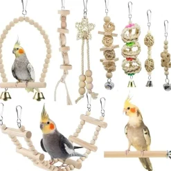 DTOPBUYAGE - Jouets et accessoires pour cage d'oiseaux
