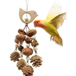 DTOPBUYAGE - Jouets mâcher oiseaux bois pomme pin