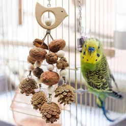 DTOPBUYAGE - Jouets mâcher oiseaux bois pomme pin