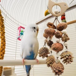 DTOPBUYAGE - Jouets mâcher oiseaux bois pomme pin