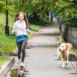 DTOPBUYAGE - Laisse extensible verrouillée 5m dorée chien