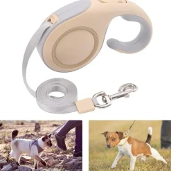 DTOPBUYAGE - Laisse extensible verrouillée 5m dorée chien