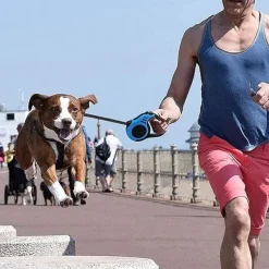 DTOPBUYAGE - Laisse rétractable 5m bleue pour chien