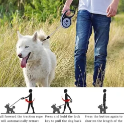 DTOPBUYAGE - Laisse rétractable 5 m pour chiens petit moyen taille rose