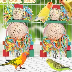 DTOPBUYAGE - Lot 2 jouets oiseaux boule naturelle