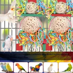 DTOPBUYAGE - Lot 2 jouets oiseaux boule naturelle