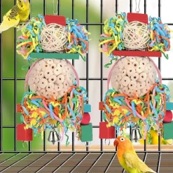 DTOPBUYAGE - Lot 2 jouets oiseaux boule naturelle