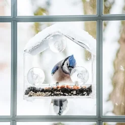 DTOPBUYAGE - Mangeoire oiseaux extérieur transparente