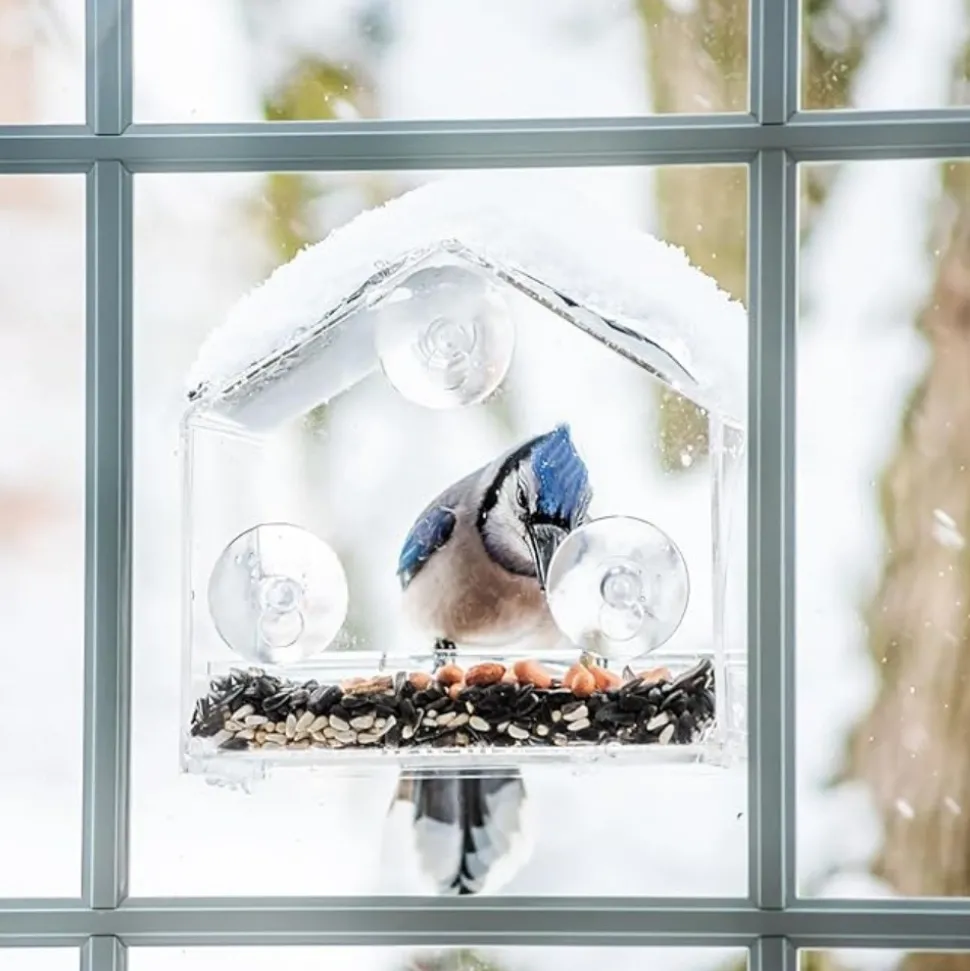 DTOPBUYAGE - Mangeoire oiseaux extérieur transparente
