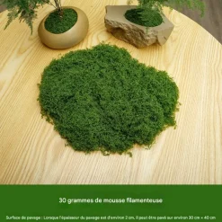 DTOPBUYAGE - Mousse artificielle pour décoration de jardin pack de 2 dtopbuyage