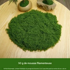 DTOPBUYAGE - Mousse artificielle pour décoration de jardin pack de 2 dtopbuyage