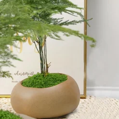 DTOPBUYAGE - Mousse artificielle de 50g*2 pour décoration de jardin dtopbuyage