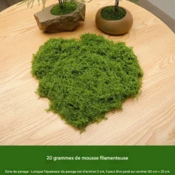 DTOPBUYAGE - Mousse artificielle de 20g*2 pour décoration de jardin dtopbuyage