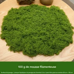 DTOPBUYAGE - Mousse artificielle de 100g*2 pour décoration de jardin dtopbuyage