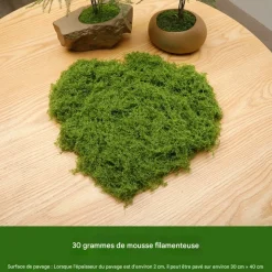 DTOPBUYAGE - Mousse artificielle de 30g*2 pour décoration de jardin dtopbuyage