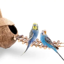 DTOPBUYAGE - Nid et jouet pour oiseaux et hamsters avec échelle