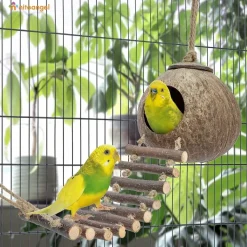 DTOPBUYAGE - Nid et jouet pour oiseaux et hamsters avec échelle