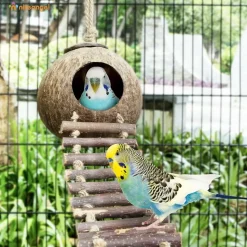 DTOPBUYAGE - Nid et jouet pour oiseaux et hamsters avec échelle